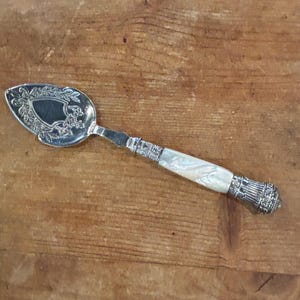 May include: Silver-toned serving spoon with a decorative floral design on the spoon head. The handle features a mother-of-pearl inlay and ornate detailing. The spoon is approximately 9 inches long.