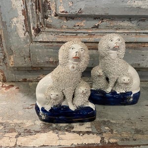 Pair Of Staffordshire Poodles With Pups