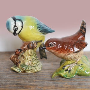 May include: Two ceramic bird ornaments. One is a blue, yellow, and white bird perched on a brown branch with green leaves. The other is a brown bird with a black beak and a striped tail, also perched on a green leaf.