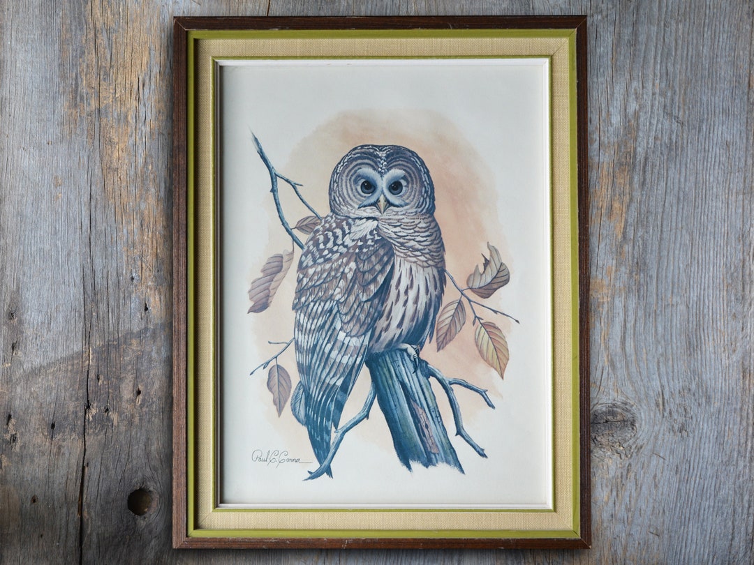 Vintage Owl Framed Art Lithograph, by Paul Connor Circa 1970s, Wood