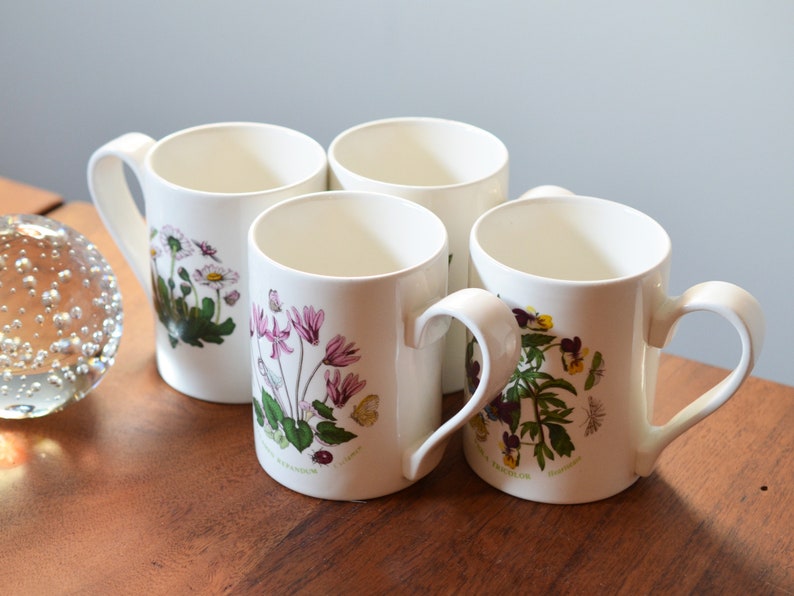 Vintage Portmeirion Botanic Garden Mugs Set Of 4 Designed In 1972 From Botanical Ilration Plates Made England