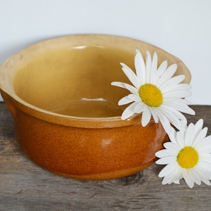 May include: A brown ceramic bowl with two white daisies on the rim. The bowl is sitting on a wooden surface.