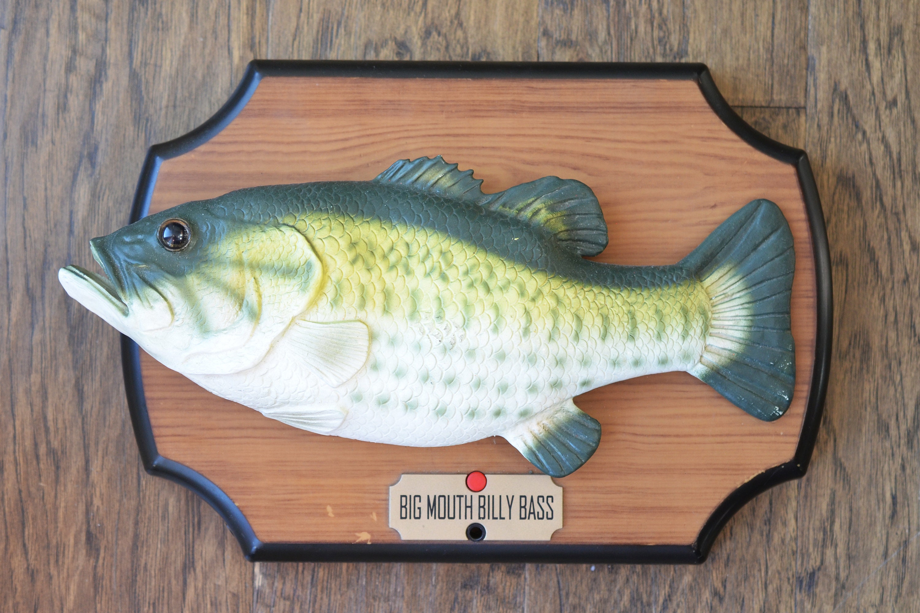 Wall Singing Fish for sale Only 2 left at 65