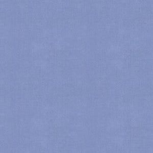 Può includere: Tessuto senza cuciture, color pervinca chiaro. Il materiale presenta un sottile motivo intrecciato, creando un aspetto morbido e uniforme. Il colore è un blu-viola pastello tenue, adatto a vari progetti di artigianato e design.