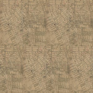 Neutral Map from Eclectic Elements Palette Neutral by Tim Holtz, PWTH253,Freespirit