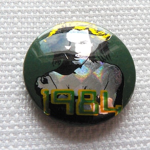 Vintage 80s David Lee Roth - Van Halen - 1984 Prism Style Pin / Button / Badge