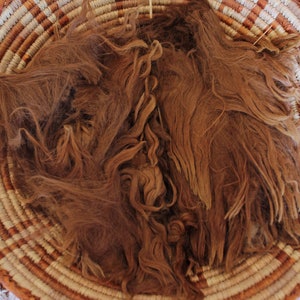 1.2kg medium brown suri alpaca fleece, raw, from Polly