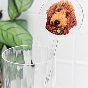 Custom Pet Drink Stirrers -  Pet Drink Stirrers - Personalized Swizzle Sticks - Personalised Drink Stirrers - Pet Stirrers - Round Head