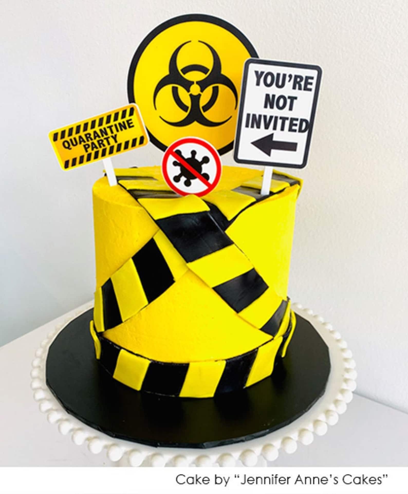 Quarantine Birthday Party Cake Topper Kit Isolation Cake Etsy