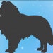 see more listings in the dog section