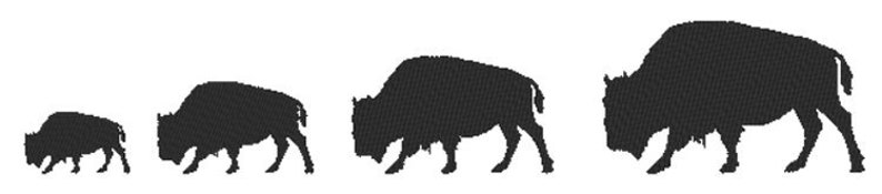 May include: Silhouettes of four bison of different sizes, from smallest to largest, walking in a line from left to right.