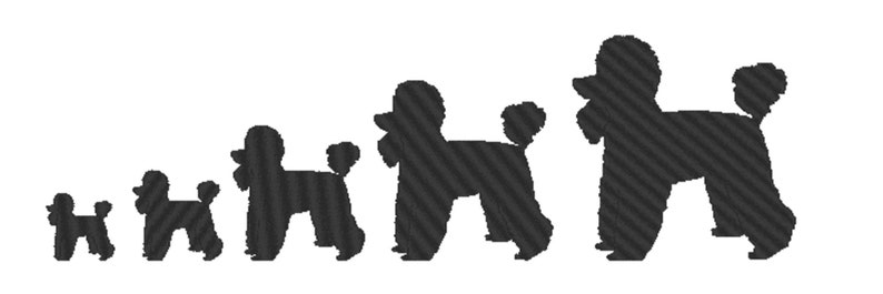 Poodle Embroidery Design File multiple formats one color design 5 sizes instant download silhouette embroider decal embroidery image 1