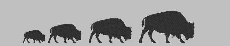 May include: Silhouettes of four bison of different sizes, from smallest to largest, walking in a line from left to right.