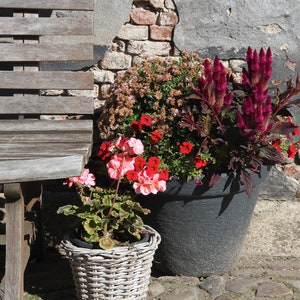 Op de afbeelding: Een houten bankje staat naast een stenen muur met een grote plantenbak gevuld met rode en roze bloemen. De plantenbak is gemaakt van donkergrijs materiaal en heeft een ruwe textuur. De bloemen staan ​​in volle bloei en worden omringd door groene bladeren.
