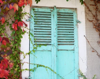 Grüne geschlossene Fensterläden mit Herbstblättern (Frankreich).