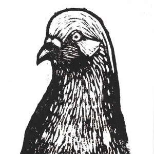 Pombo, Pomba da Rocha 3,5&quot; x 5&quot; Linogravura feita à mão