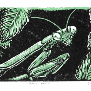 Praying Mantis Linocut Print 5&quot;x7&quot;