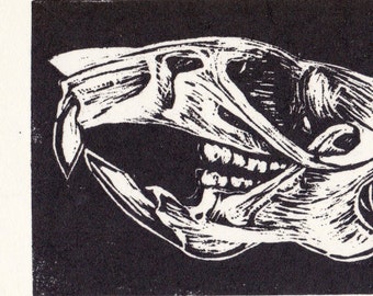 Rattus Norvegicus, brown rat skull linocut print 5&quot; x 7&quot;