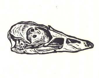 Calavera de pato, impresión linocut hecha a mano, 8,5 x 11