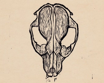 Grabado en madera de calavera de mapache, 8 x 10