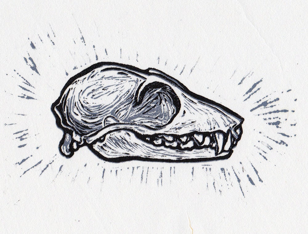 Fruit Bat Skull, "Pteropus" , Handmade Linocut, Black and Grey Reduction Print, 6 x 8