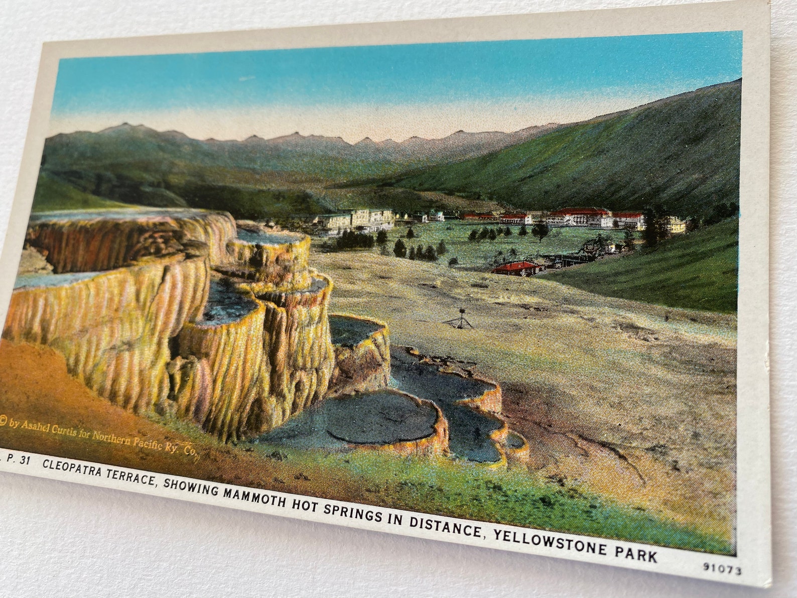 Yellowstone Vintage Yellowstone Postcard Yellowstone Etsy
