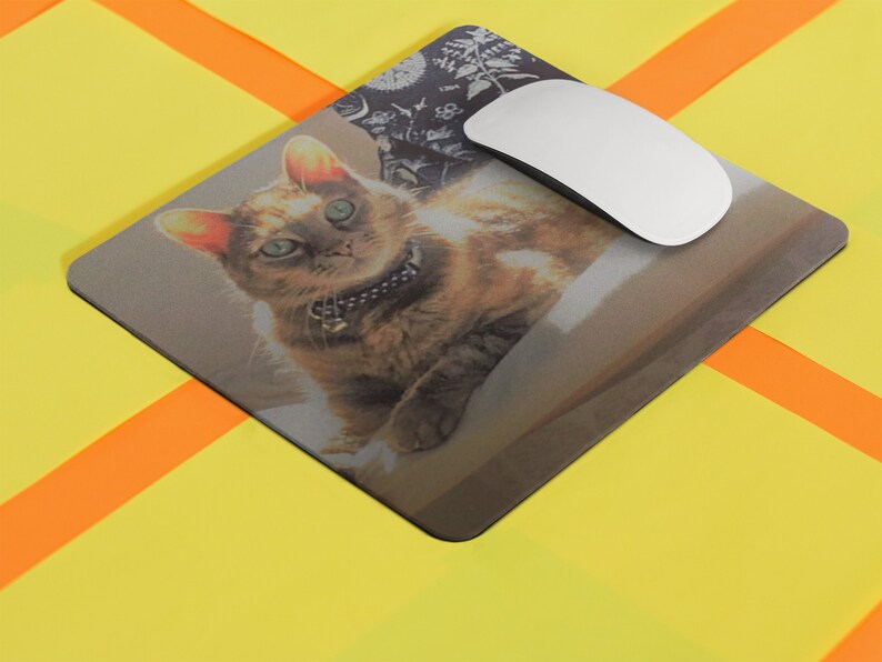 Op de afbeelding: Een bruin-witte tabbykat met groene ogen zit op een grijs-witte gepatroneerde muismat. De kat draagt een zwarte halsband met een zilveren hanger. Een witte computermuis ligt op de muismat.
