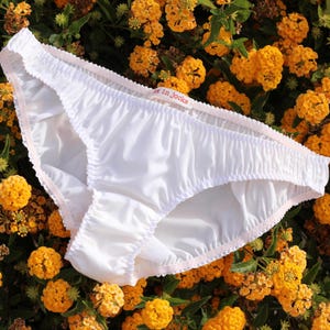 ローライズビキニショーツ：シルク織りコットン天然繊維パンティー。豊富なカラーバリエーション