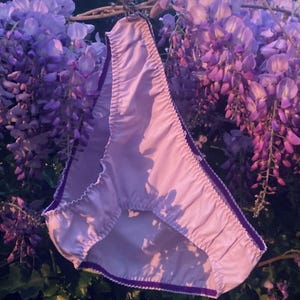 Puede incluir: Un par de ropa interior de color lila claro con ribete morado oscuro. La ropa interior está colgada de una rama de glicinia.
