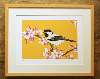 Cherry blossom & coal tit limited edition A3 print