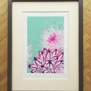 Anemone and purple barnacles A4 print image 1