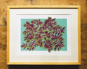 Jellybean succulent limited edition A3 print