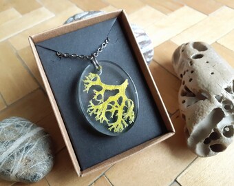 Woodland nature treasures foraged handmade eco-resin necklace