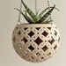 see more listings in the Hanging Planter section