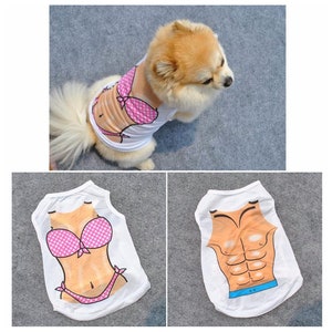 small dog bathing suits