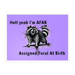 AFAB raccoon sticker