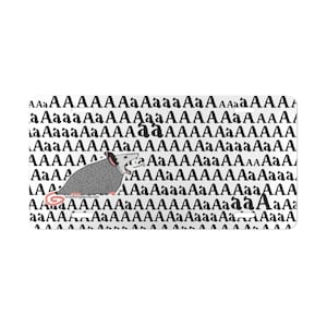 Screaming Possum vanity plate