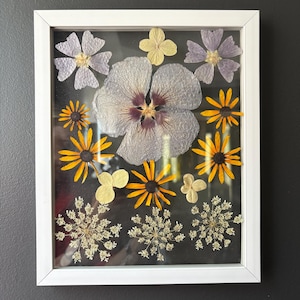 Pressed Flower Herbarium Wall Art: Floating Frame Botanical Decor
