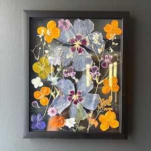 Pressed Flower Frame: Real Dried Herbarium - Botanical Wall Art