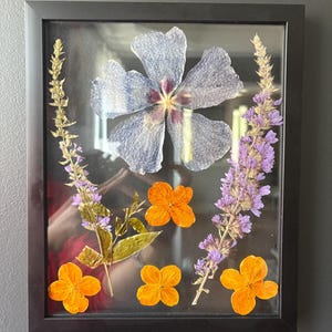 Botanical art in frame, Hanging flower framed, dried flowers in glass frame, Wall decor, Pressed flower art, Real dried flower, herbarium