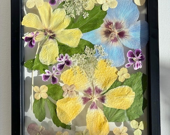Gepresste Blumenkunst im Schattenfugenrahmen: Echtes getrocknetes Herbarium