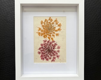 Gerahmte gepresste Dillblüte: botanische Kunst auf Eco Papier
