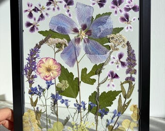 Gepresste Blumenkunst im Schattenfugenrahmen: Echtes getrocknetes Herbarium