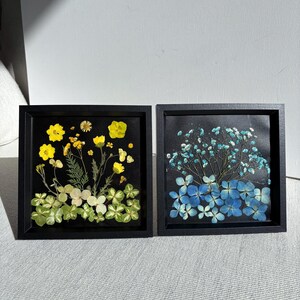 Op de afbeelding: Twee ingelijste bloemenkunstwerken. Eén toont gele bloemen en groene klaverachtige bladeren. De andere toont blauwe hortensia's en delicate blauwe bloemen. Beide zijn geplaatst tegen een zwarte achtergrond in zwarte lijsten.