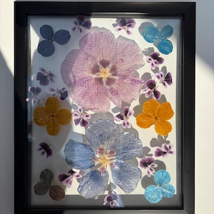 Botanical art in frame, Hanging flower framed, dried flowers in glass frame, Wall decor, Pressed flower art, Real dried flower, herbarium