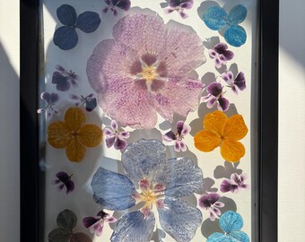 Gepresste Blumenkunst im Schattenfugenrahmen: Echtes getrocknetes Herbarium