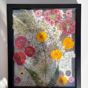 Pressed Flower Art in Floating Frame: Real Dried Herbarium