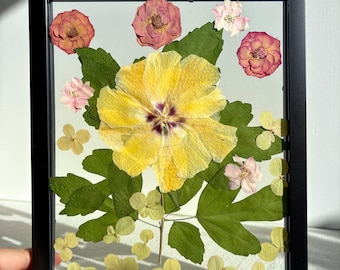 Gelber Hibiskus gepresste Blumenkunst im Schattenfugenrahmen: Echtes getrocknetes Herbarium
