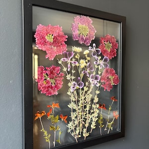 Botanical art in frame, Hanging flower framed, dried flowers in glass frame, Wall decor, Pressed flower art, Real dried flower, herbarium