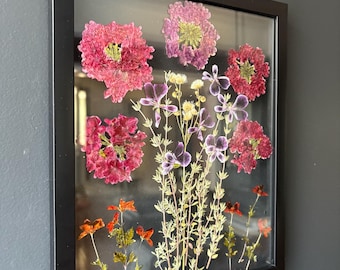 Gepresste Blumen-Rahmen: Echte getrocknete botanische Herbarum-Wand-Kunst